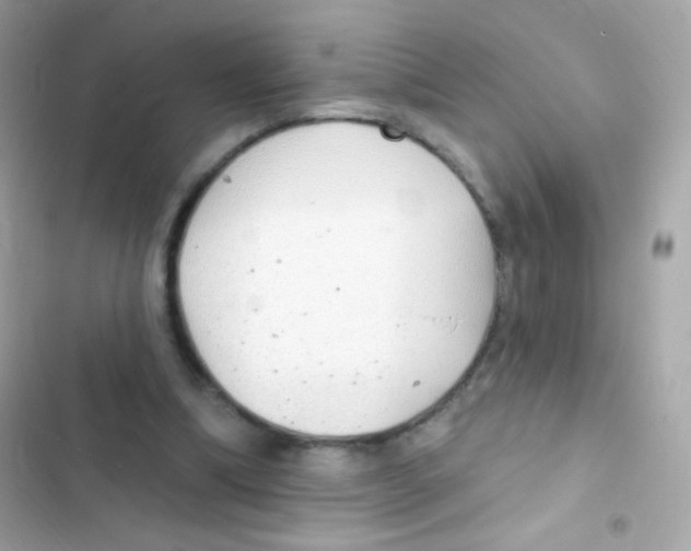 X0000103170298200809192123