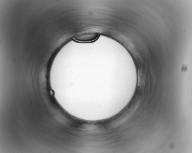 X0000103170300200809192123