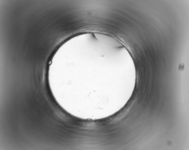 X0000103170301200809192123