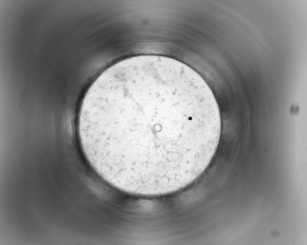 X0000103170302200809192123