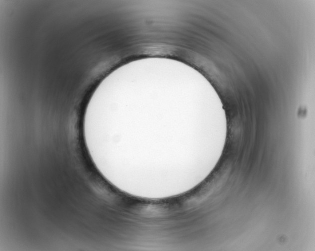 X0000103170303200809192123