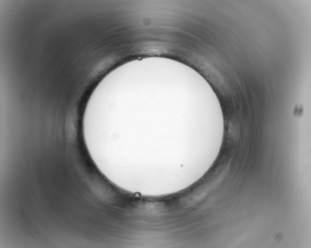 X0000103170304200809192123