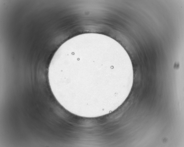 X0000103170305200809192123