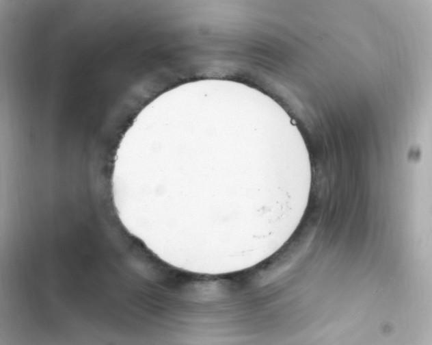 X0000103170307200809192122