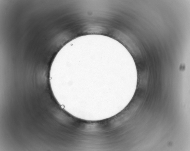 X0000103170309200809192122