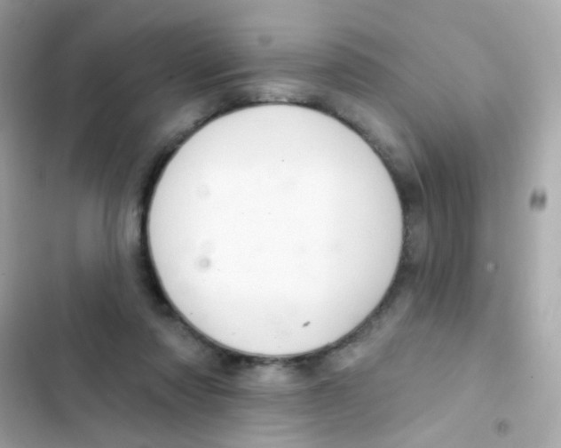 X0000103170310200809192122