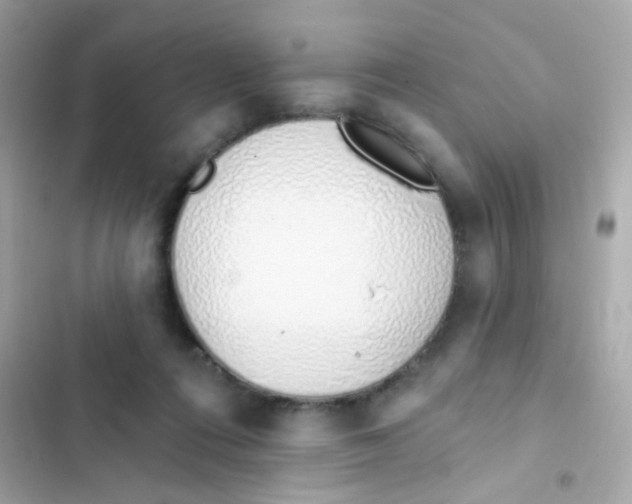 X0000103170312200809192122