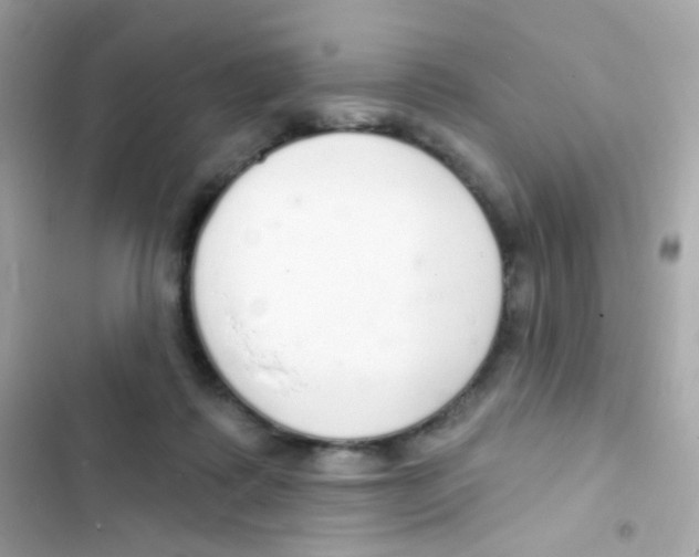 X0000103170315200809192122