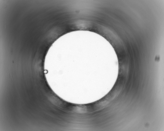 X0000103170317200809192122