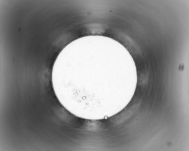 X0000103170321200809192122