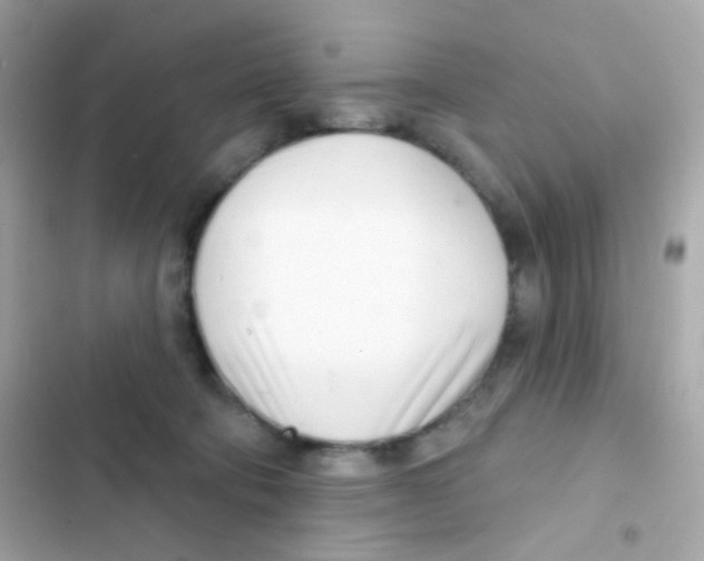 X0000103170322200809192122