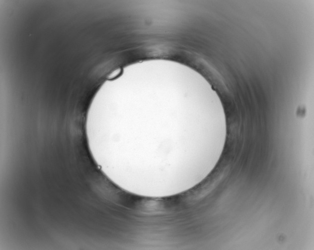 X0000103170325200809192122