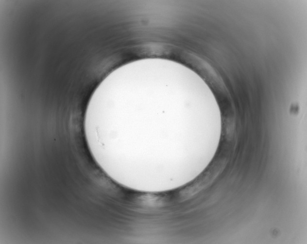 X0000103170326200809192122