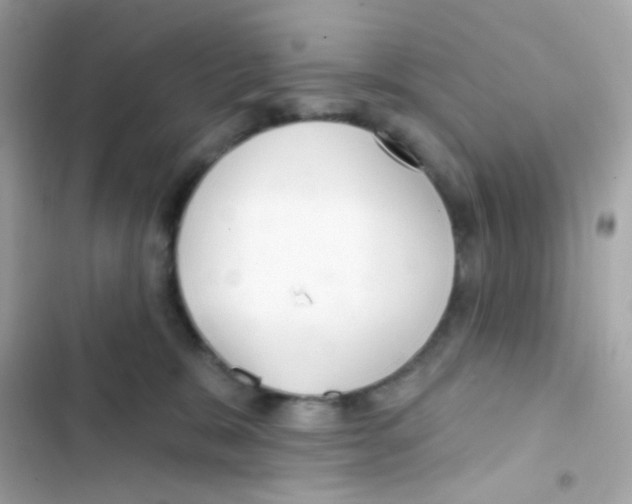 X0000103170327200809192122