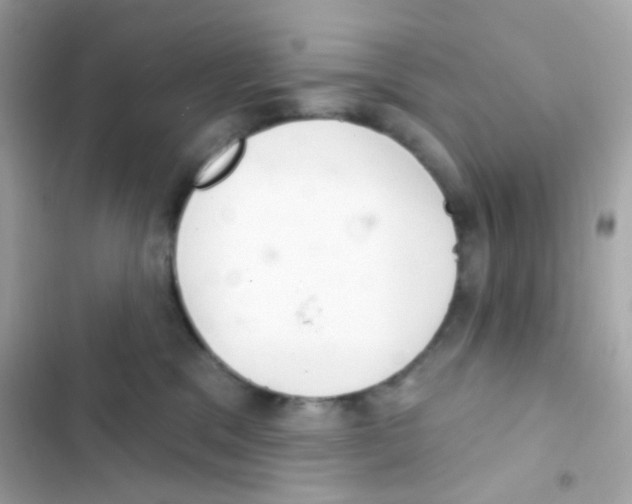 X0000103170329200809192122