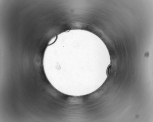 X0000103170331200809192122