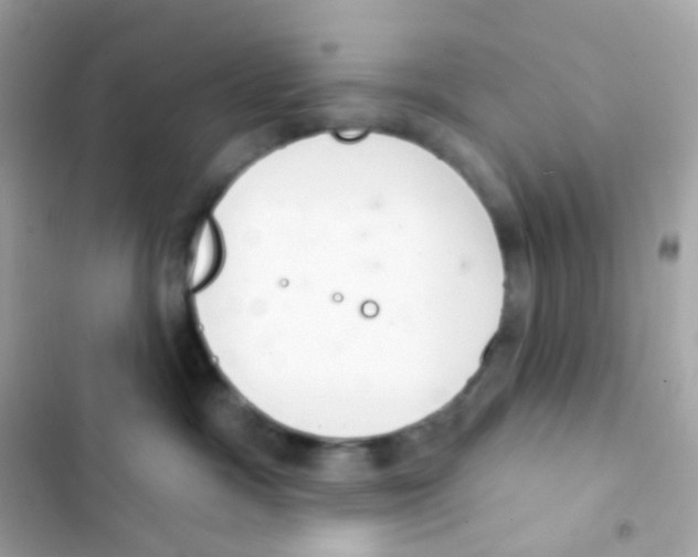 X0000103170333200809192122