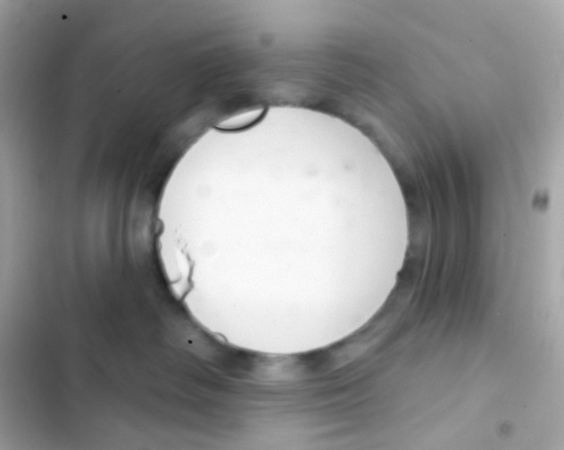 X0000103170334200809192122