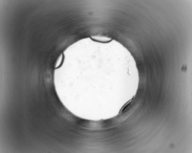 X0000103170335200809192122