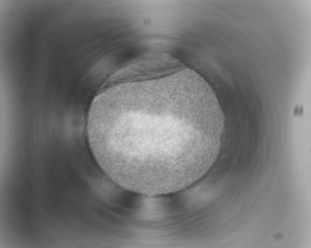 X0000103170336200809192122