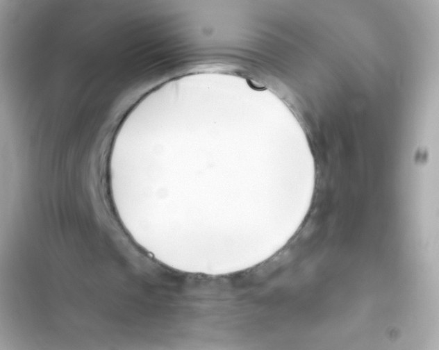 X0000103170337200809192121