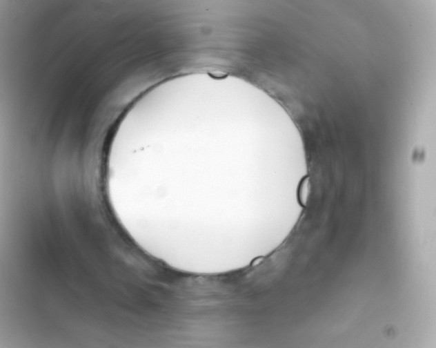 X0000103170338200809192121