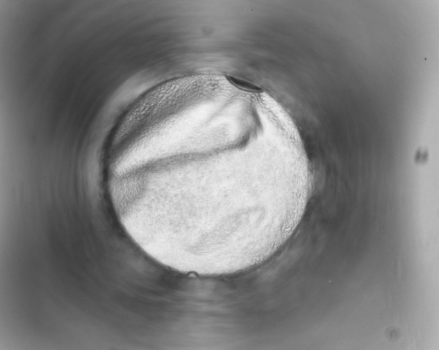 X0000103170339200809192121