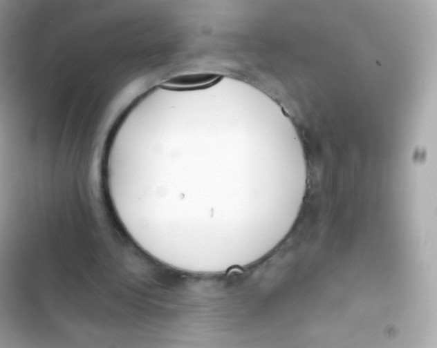 X0000103170340200809192121