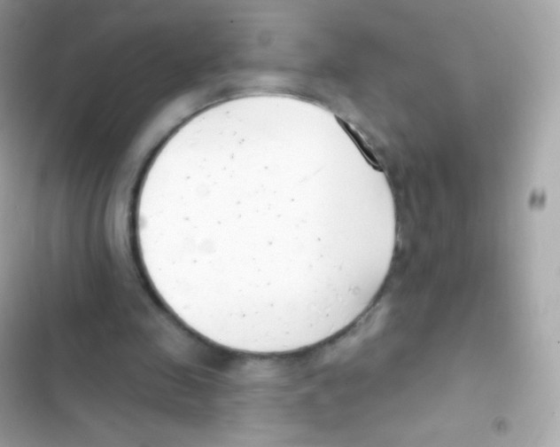 X0000103170341200809192121