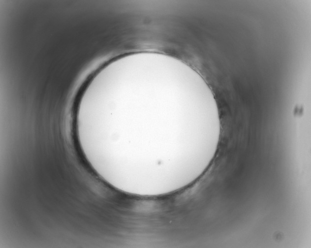 X0000103170342200809192122