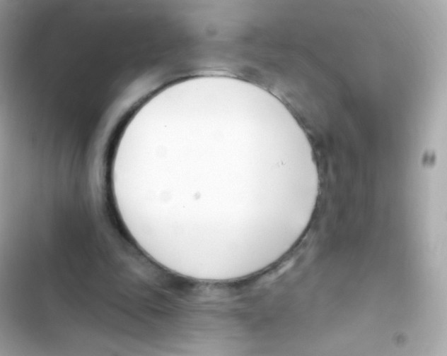 X0000103170343200809192122