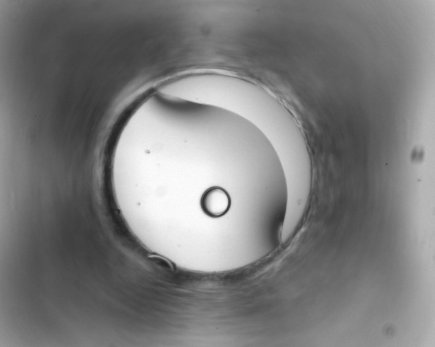 X0000103170344200809192122