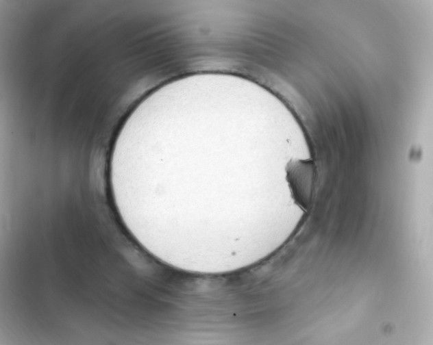 X0000103170345200809192122