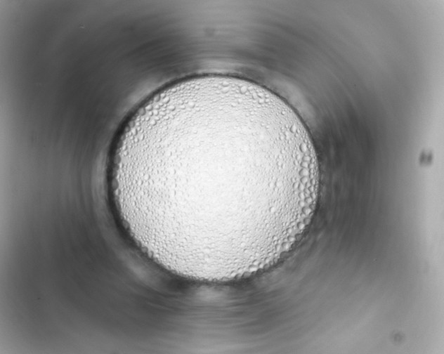 X0000103170346200809192122