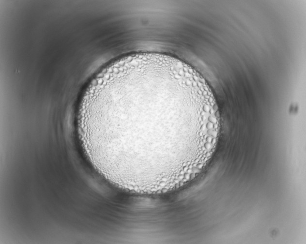 X0000103170347200809192122