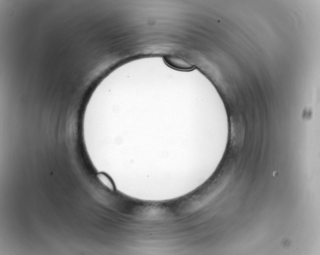 X0000103170348200809192122