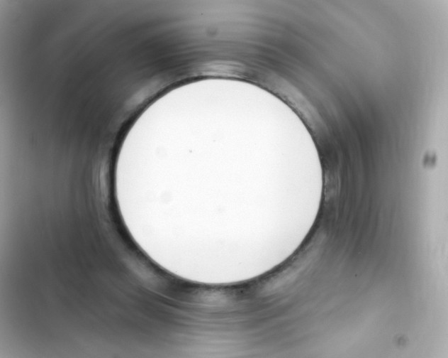 X0000103170349200809192122