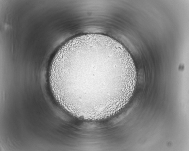 X0000103170351200809192122