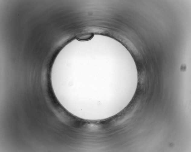 X0000103170352200809192122