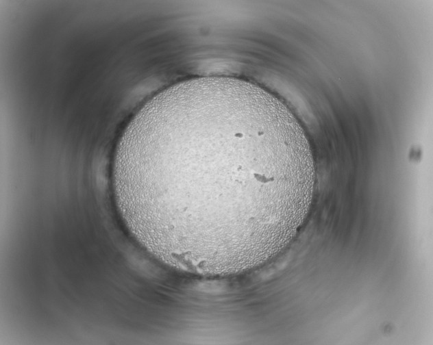 X0000103170353200809192122