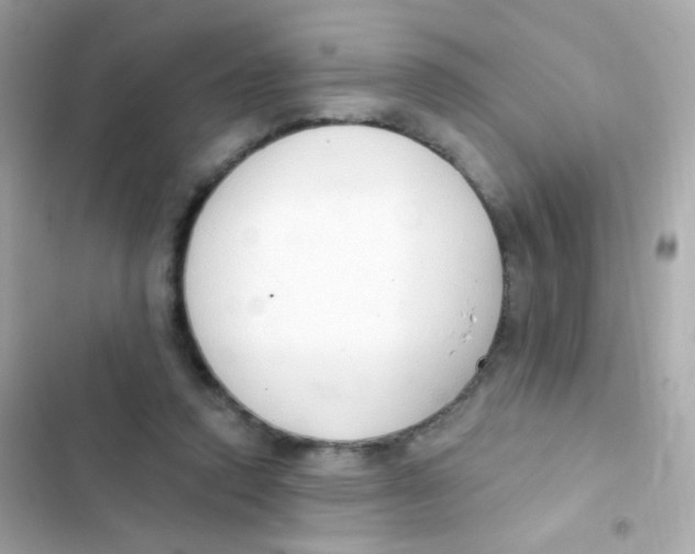 X0000103170354200809192122