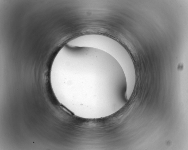 X0000103170356200809192122