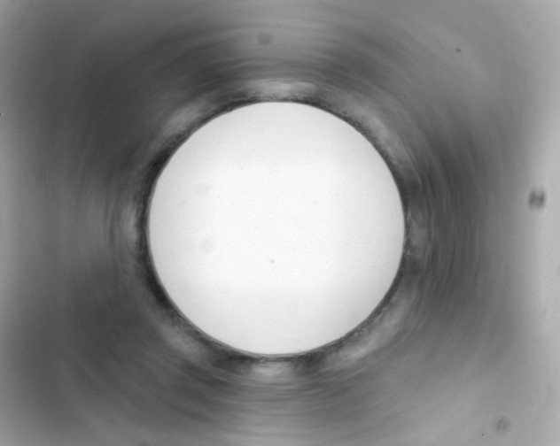 X0000103170357200809192122