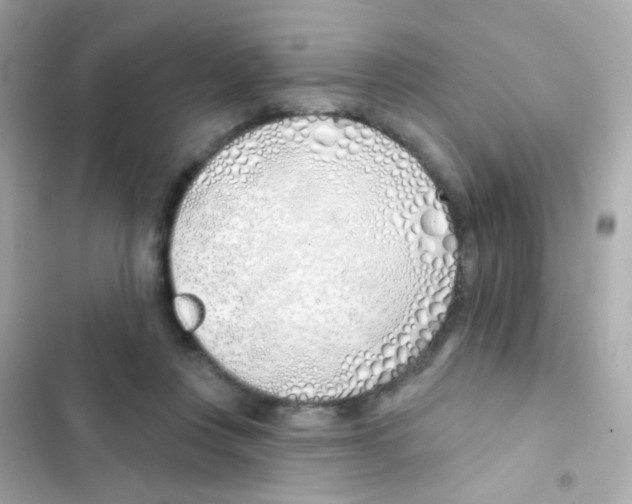 X0000103170359200809192122