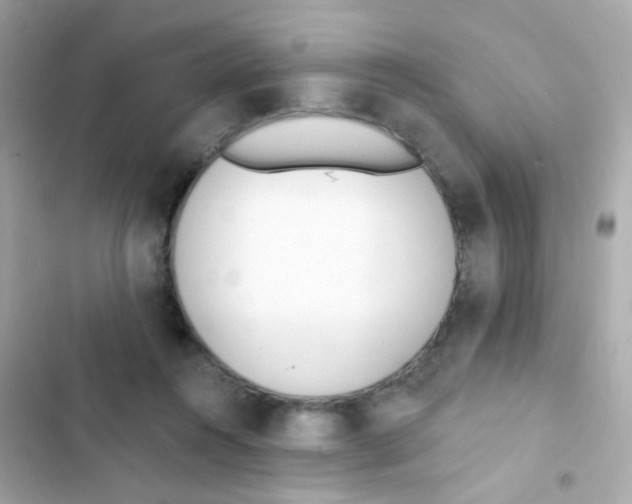 X0000103170360200809192122