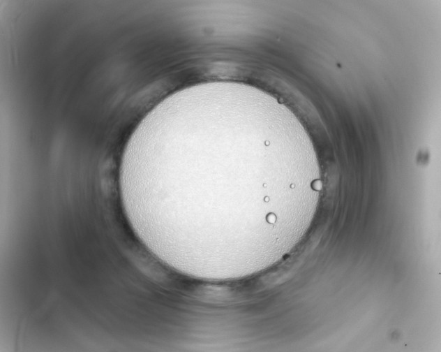 X0000103170361200809192122