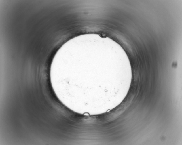 X0000103170362200809192122