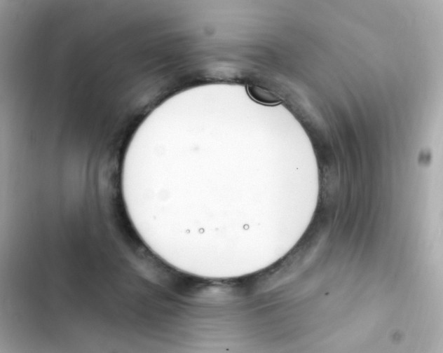 X0000103170364200809192122