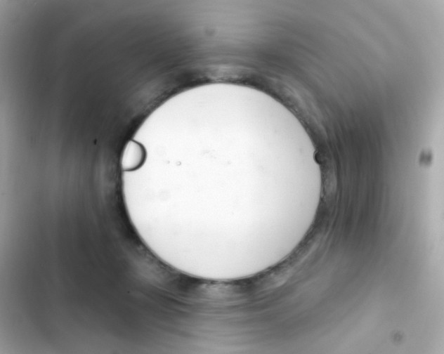 X0000103170367200809192122