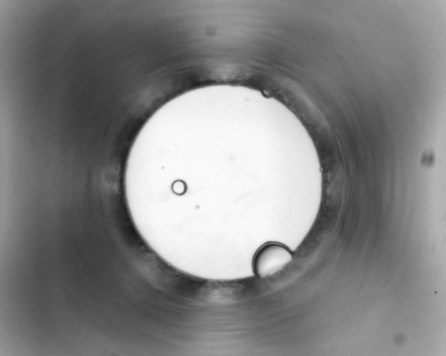 X0000103170368200809192122